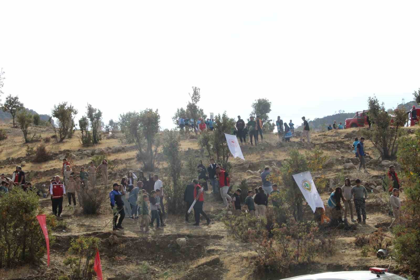 MİLLİ AĞAÇLANDIRMA GÜNÜ'NDE ŞIRNAK-CİZRE KARAYOLUNUN 30'UNCU KİLOMETRESİNDE, ŞEHİT GÜVENLİK...