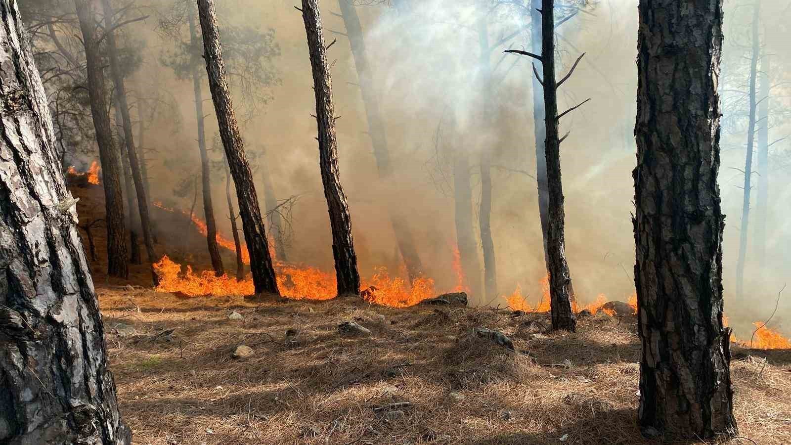 MUĞLA'NIN SEYDİKEMER İLÇESİNDE ORMAN YANGINI ÇIKTI