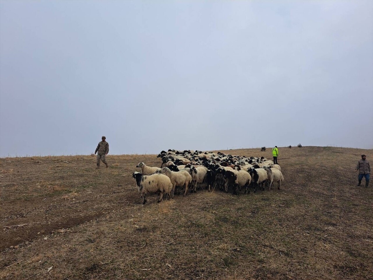 MUŞ’UN MERKEZ İLÇESİNE BAĞLI SUDURAĞI KÖYÜNDE HAYVANCILIKLA UĞRAŞAN İ.T., 112 ACİL ÇAĞRI...