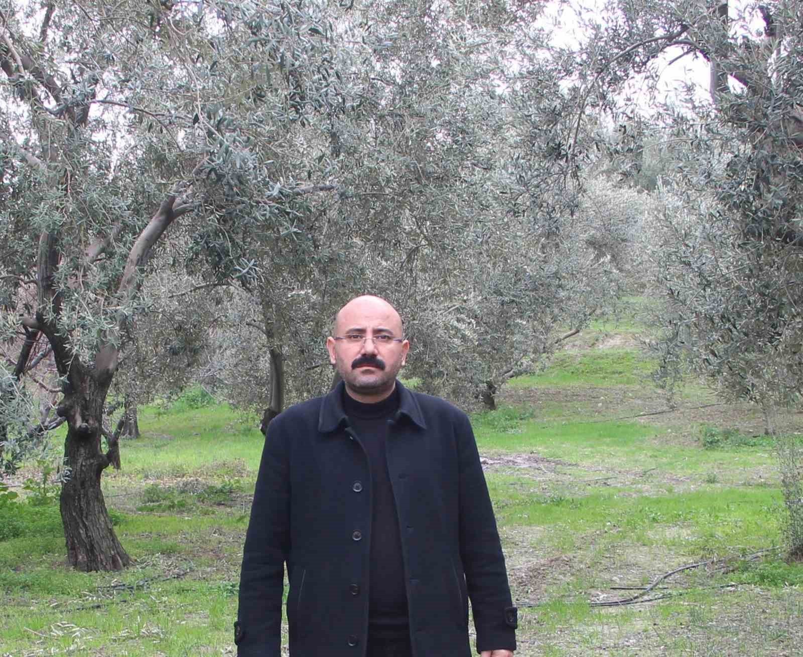 MUT İLÇESİNDEKİ FABRİKALARDA SIZMA ZEYTİNYAĞI FİYATLARI 2 KATINA ÇIKARAK 170 LİRADAN 250 İLE 350...