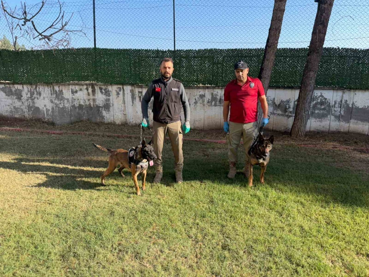 NARKOTİK ŞUBESİ’NDE GÖREV YAPAN POLİS MEMURU BARIŞ DEMİRER, İKİ KÖPEĞİN EĞİTİMİNDEN OPERASYONLARA...