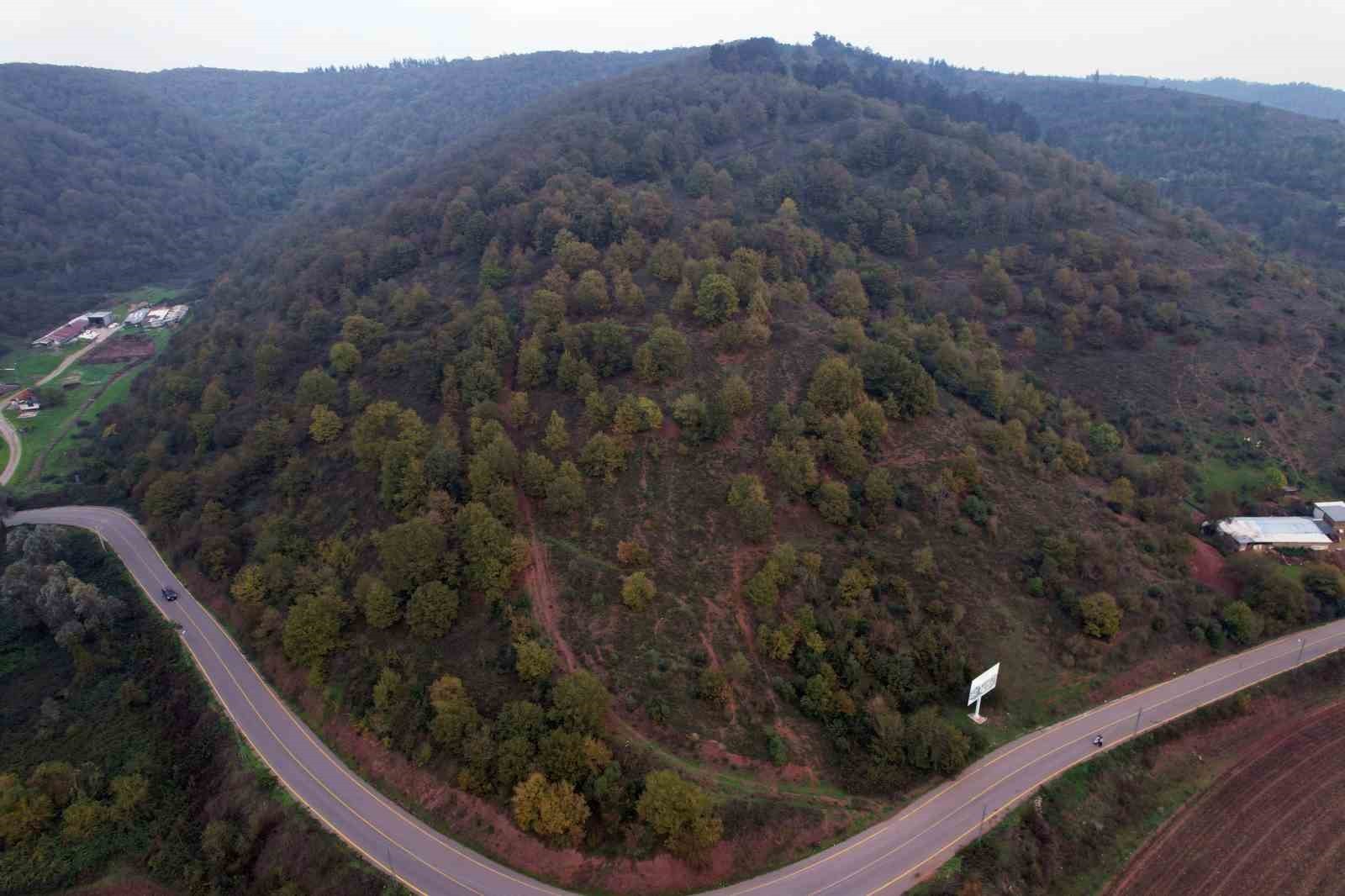 NEF ARSA'NIN SAKARYA'DA 2022 YILINDA BAŞLATTIĞI ‘NEF SAKARYA NOVU' VE ‘SAKARYA ÖĞRENCİ YURDU'...