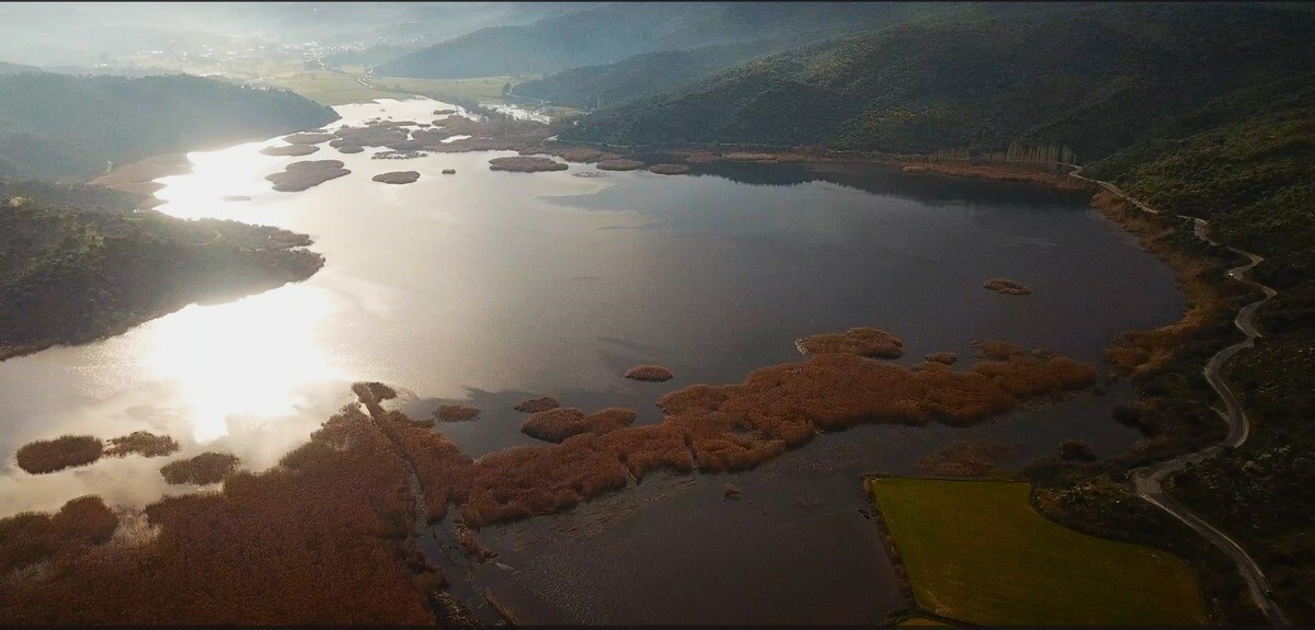 NESLİ TEHLİKE ALTINDA BULUNAN BİR TEPELİ PELİKAN, AZAP GÖLÜ’NDE GAGASINA DOLANAN OLTA İĞNELERİ...