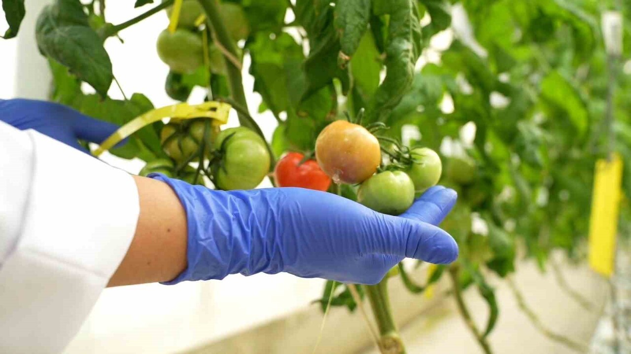 NÜKEN TARIM VE GIDA ARAŞTIRMALARI GRUBU, BÜNYESİNDEKİ LABORATUVARLARDA TÜRKİYE’NİN TARIM VE GIDA...