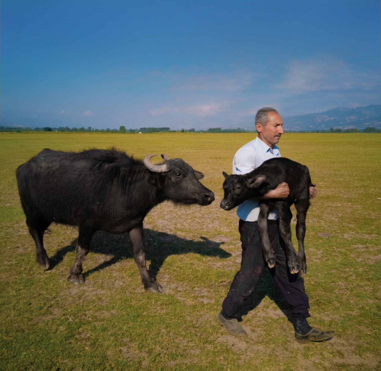 ÖDÜL ALDIĞI FOTOĞRAF PAZAR İLÇESİNDE ÇEKİLDİ