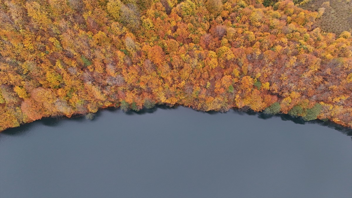 Ordu'nun Gölköy ilçesinde sonbahar renklerinin hakim olduğu Ulugöl Tabiat Parkı, doğada huzurlu...