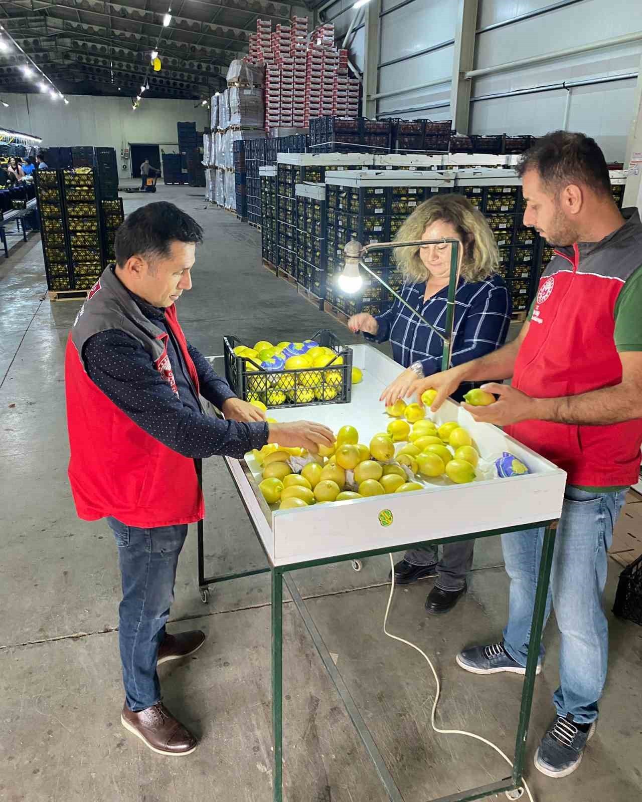 ORTACA’DA AVRUPA BİRLİĞİ ÜLKELERİ, KUZEY KIBRIS TÜRK CUMHURİYETİ VE BOSNA HERSEK’E İHRAÇ EDİLECEK...