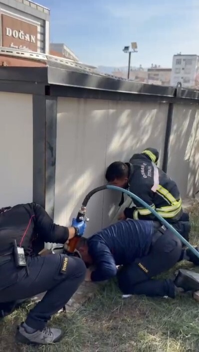 OSMANİYE KEDİ KURTARMA