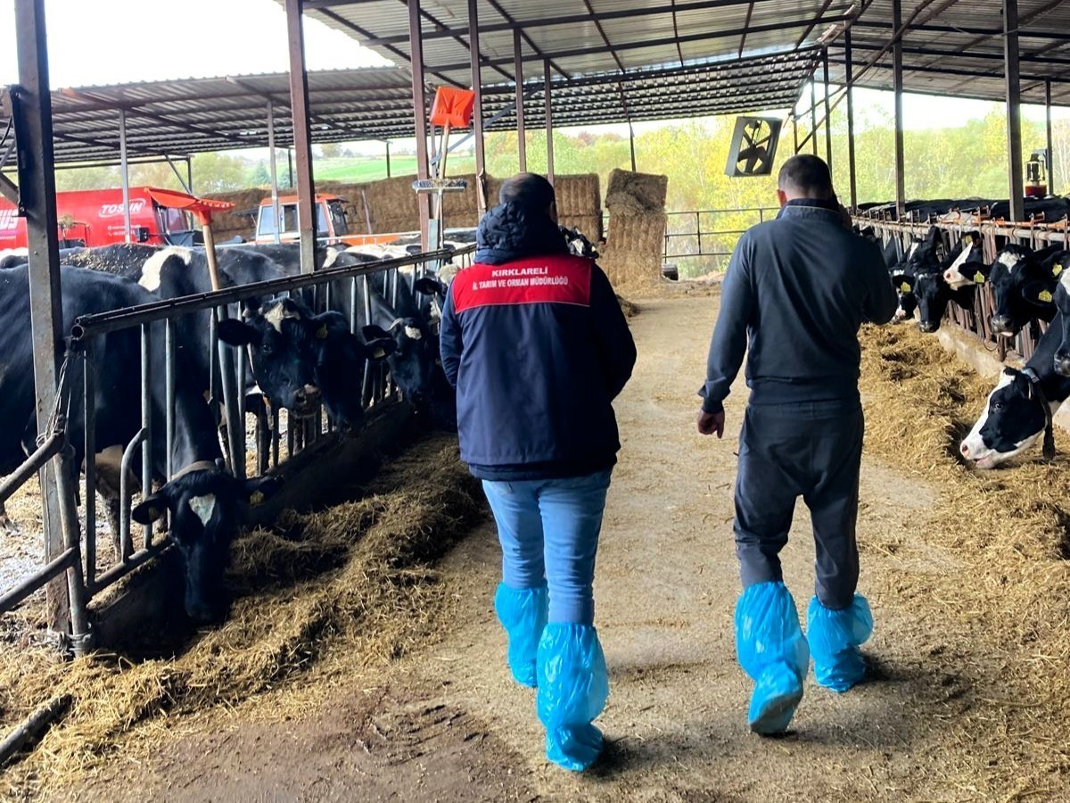 PINARHİSAR İLÇESİNDE FAALİYET GÖSTEREN ARİ HAYVANCILIK İŞLETMESİ, İLÇE TARIM VE ORMAN MÜDÜRÜ...