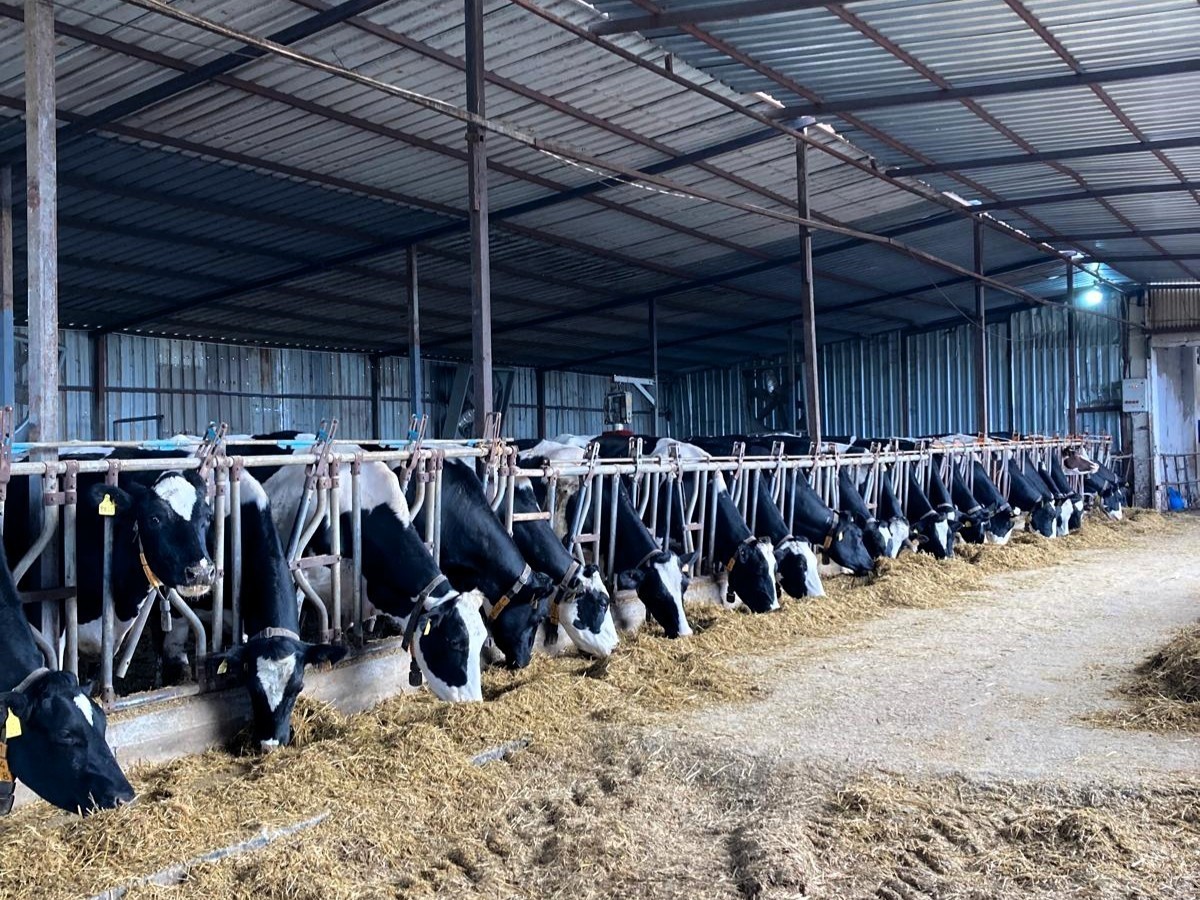 PINARHİSAR İLÇESİNDE FAALİYET GÖSTEREN ARİ HAYVANCILIK İŞLETMESİ, İLÇE TARIM VE ORMAN MÜDÜRÜ...