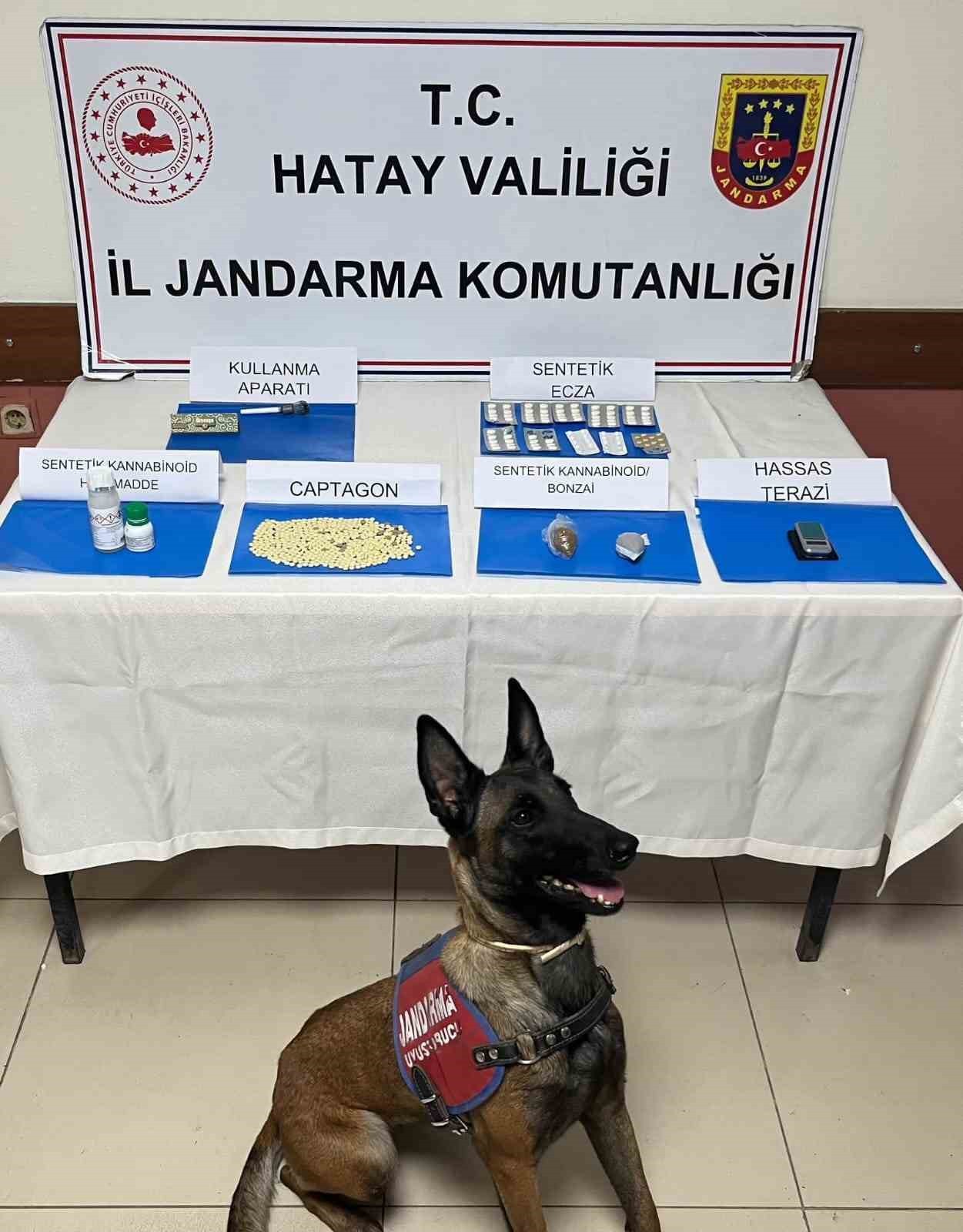 REYHANLI’DA SAZLIK ALANDA 100 BİN ADET UYUŞTURUCU HAP ELE GEÇİRİLDİ