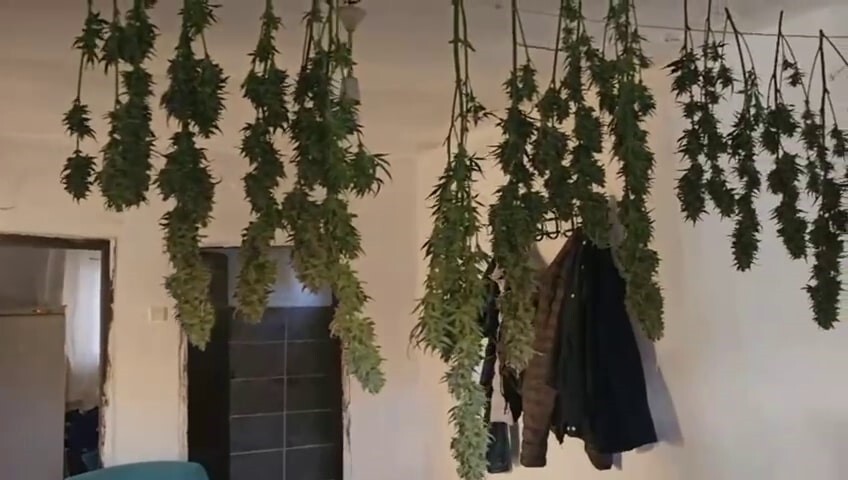 SAKARYA’NIN GEYVE İLÇESİNDE ADETA UYUŞTURUCU İMALATHANESİNE ÇEVRİLEN EVE JANDARMA EKİPLERİNCE...