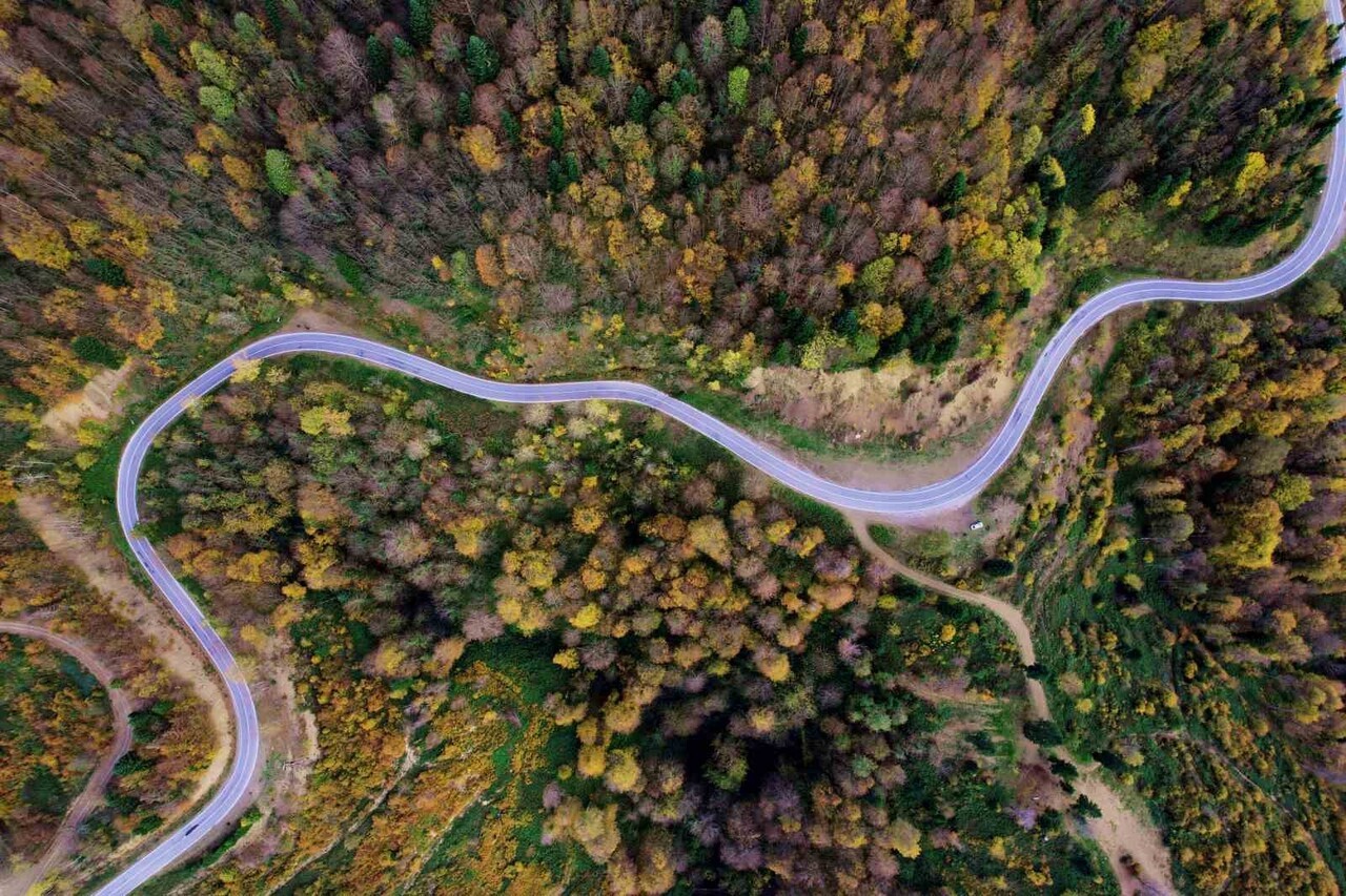 SAKARYA’NIN HENDEK İLE KOCAALİ İLÇELERİ ARASINDA YER ALAN 900 RAKIMLI ÇAM DAĞI, SONBAHARIN...