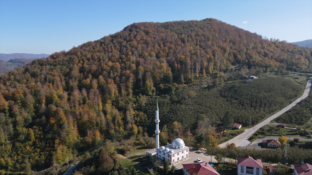 Samsun'un 19 Mayıs ilçesindeki Nebiyan Dağı'nda güz renkleri doğaya hakim oldu. Şehir merkezine 60...