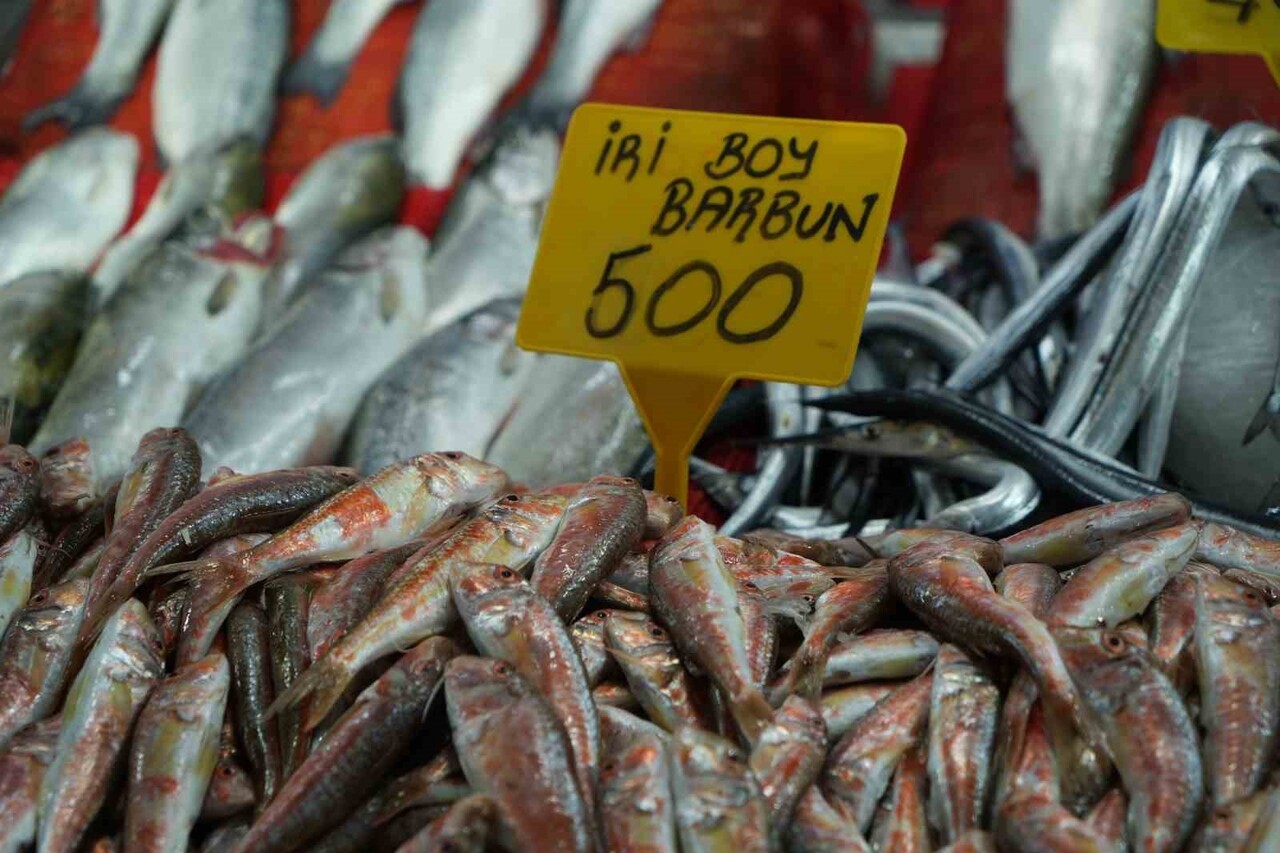SAMSUN BÜYÜKŞEHİR BELEDİYESİ BALIK HALİNDE FİYATLAR ADETA EL YAKIYOR. HALDEKİ BALIK TEZGÂHLARINDA...