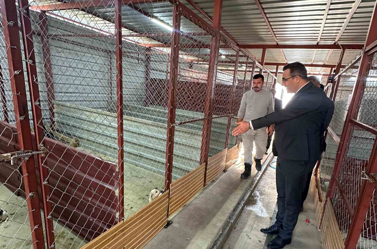 SARIGÖL KAYMAKAMI HALİL DALAK, İLÇEDEKİ SOKAK HAYVANLARININ BARINMA, BESLENME VE TEDAVİ...