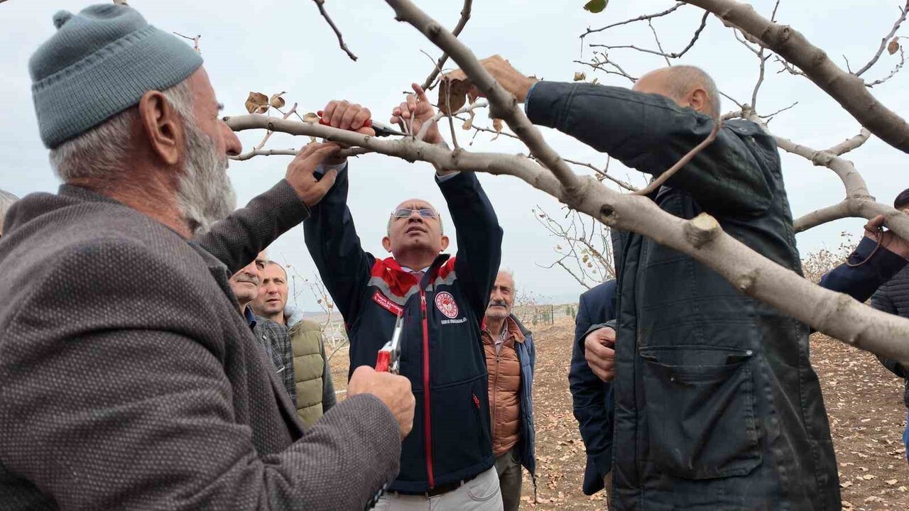 SİİRT’TE 410 BİN DEKARDAN FAZLA ALANDA FISTIK ÜRETİMİ YAPAN ÇİFTÇİLERE TEORİK VE UYGULAMALI...