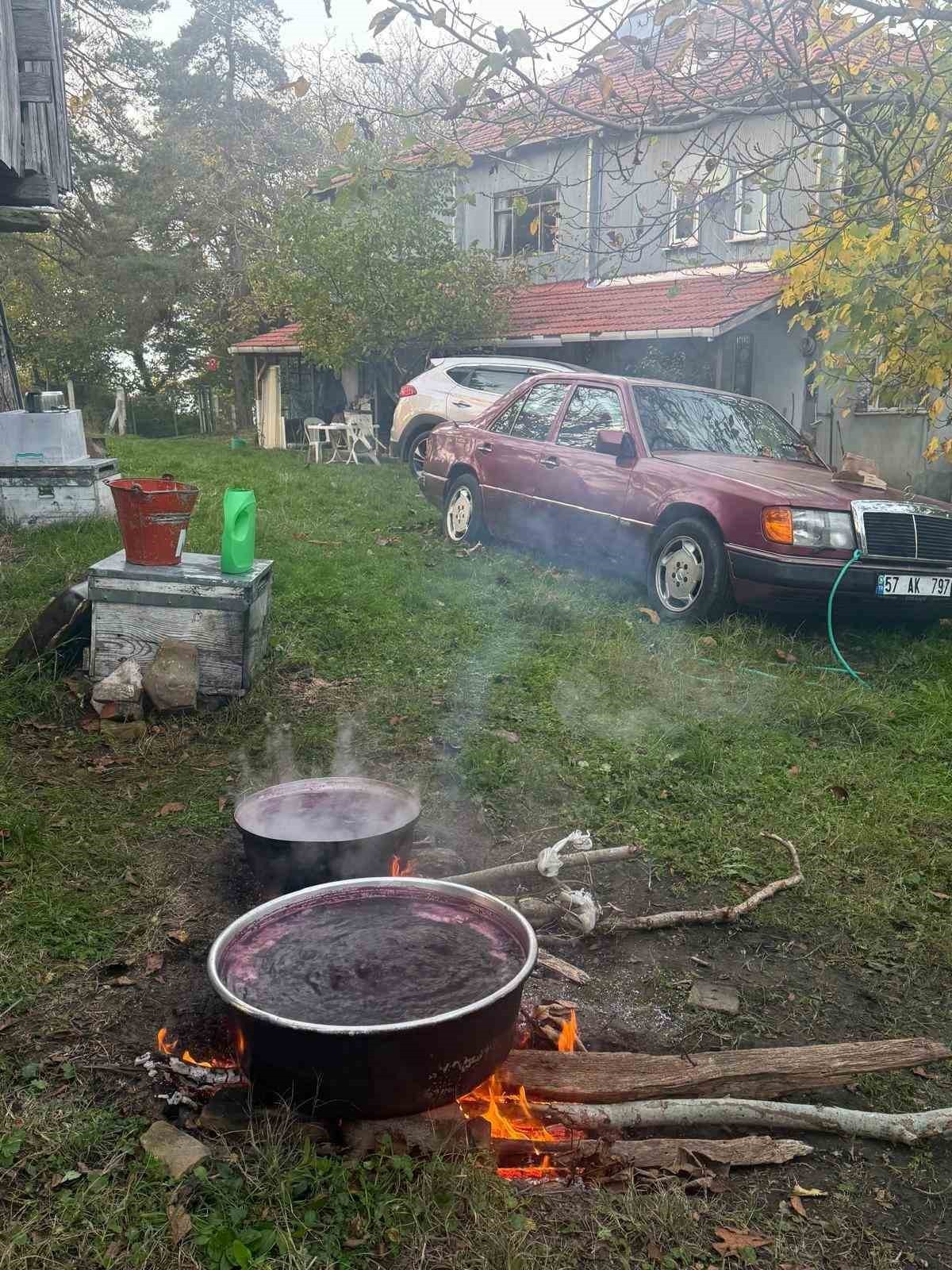 SİNOP’UN ERFELEK İLÇESİNE BAĞLI İNESÖKÜ KÖYÜNDE YAŞAYAN AHMET YILMAZ, EVİNİN BAHÇESİNDE...