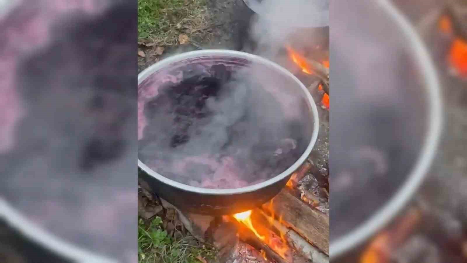 SİNOP’UN ERFELEK İLÇESİNE BAĞLI İNESÖKÜ KÖYÜNDE YAŞAYAN AHMET YILMAZ, EVİNİN BAHÇESİNDE...