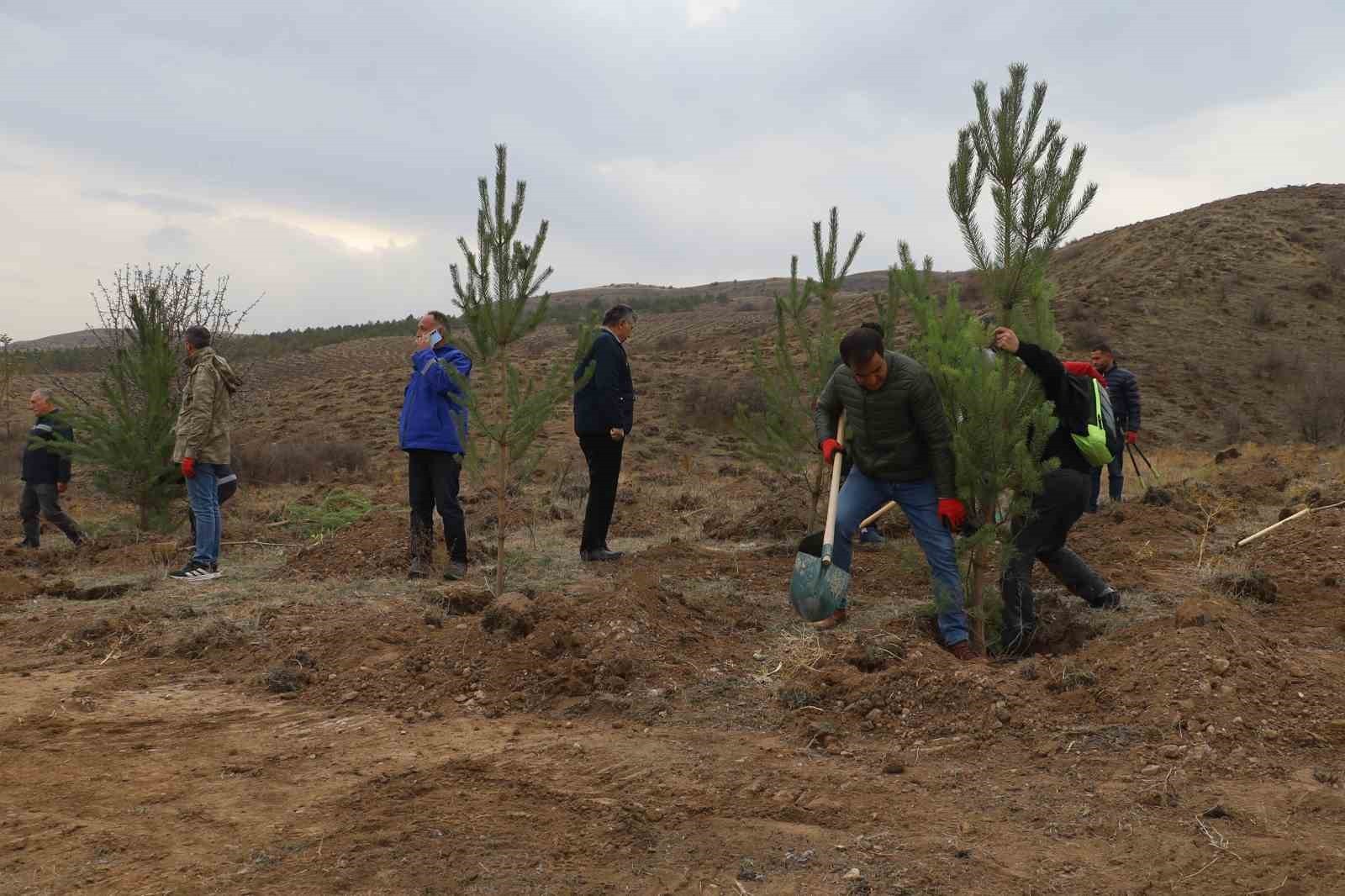 SİVAS’TA 11 KASIM MİLLİ AĞAÇLANDIRMA GÜNÜ KAPSAMINDA SİVAS BELEDİYESİ PERSONELLERİ TARAFINDAN...
