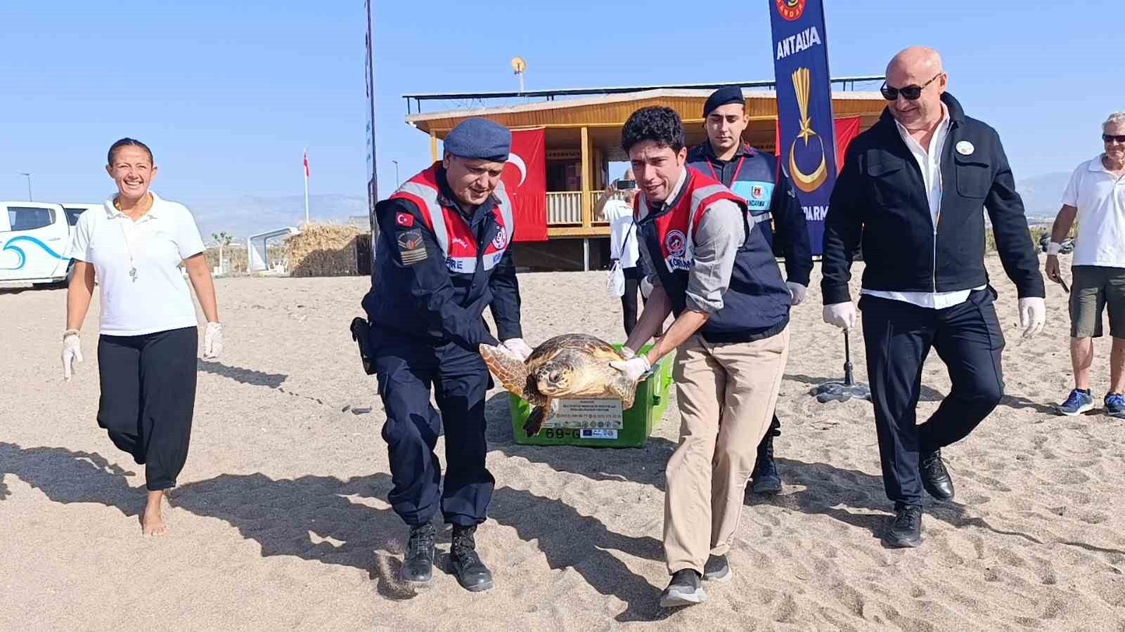 TEDAVİSİ TAMAMLANAN CARETTA CARETTA DENİZİN MAVİLİĞİNE KULAÇ AÇTI