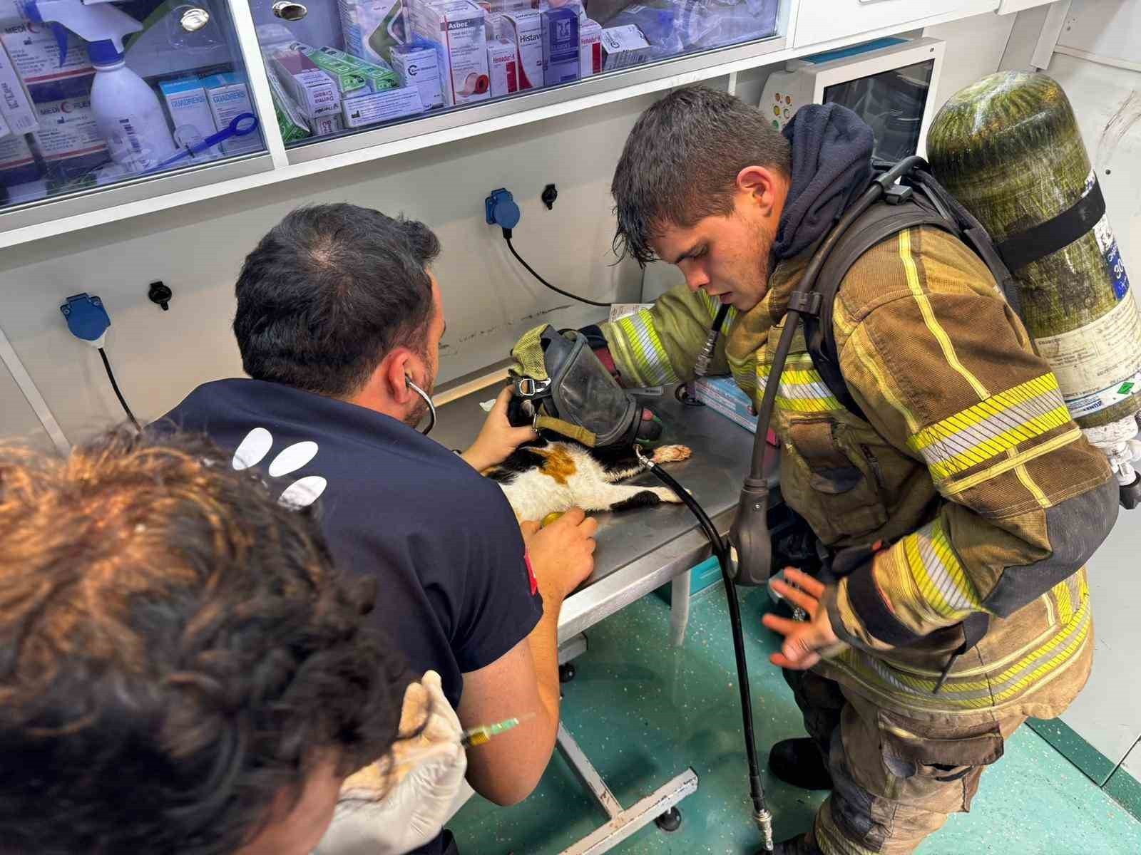 TORBALI’DAKİ BİR EV YANGININA MÜDAHALE EDEN EKİPLER, DAİREDE DUMANDAN ETKİLENEN KEDİLERİ...