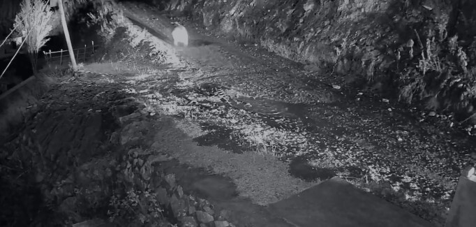 TRABZON'UN ARAKLI İLÇESİ BAHÇECİK MAHALLESİNDE 10'A YAKIN EVE GİREN VE EVLERE ZARAR VEREN AYININ...