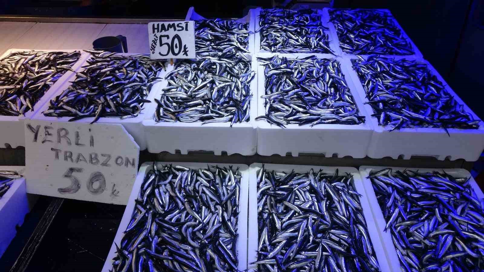 TRABZON BALIK HALİNDE HAMSİNİN KİLOSU 50 TL'DEN SATILIYOR