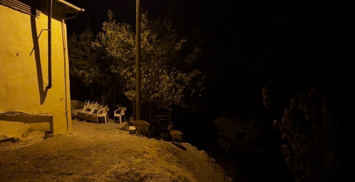 TUNCELİ’DE, DÜNYA DOĞA KORUMA BİRLİĞİNCE (IUCN) YAYIMLANAN ’NESLİ TÜKENME TEHLİKESİ ALTINDA OLAN...