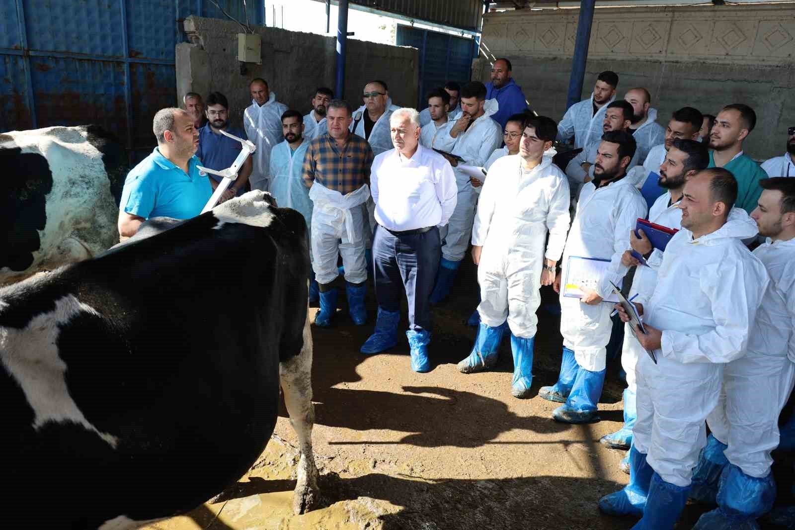 TÜRKİYE’DE HAYVANSAL ÜRETİMİN, KALİTENİN VE VERİMİN ARTIRILMASI, BERABERİNDE HAYVAN İTHALATININ...