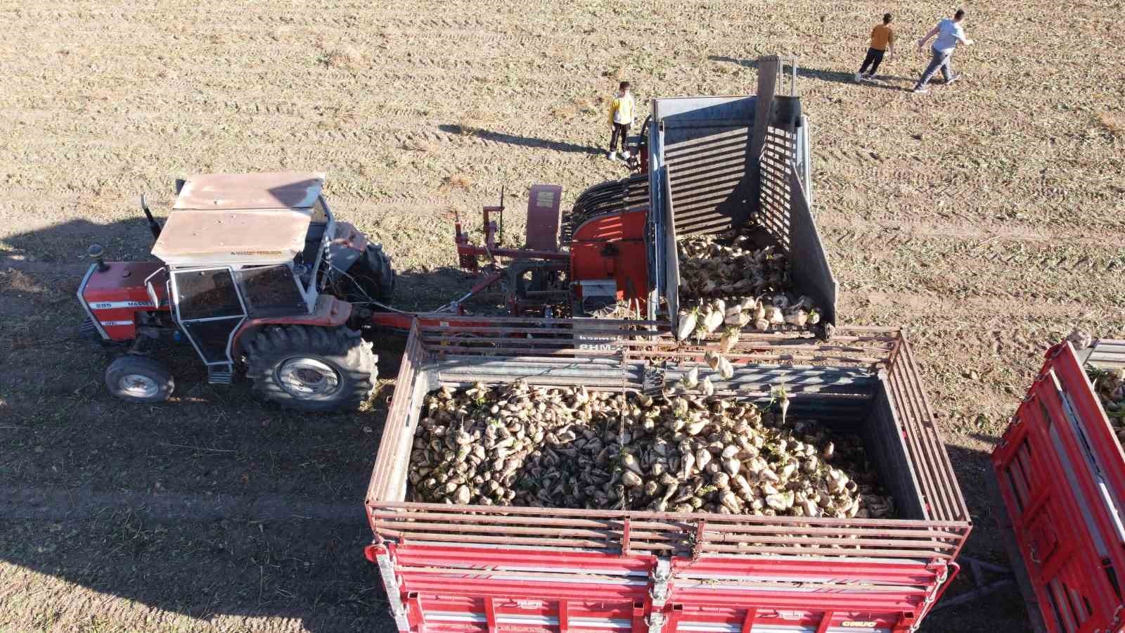 TÜRKİYE GENELİNDE ŞEKER PANCARI HASADINDA SONA YAKLAŞILIRKEN, ÇİFTÇİLER AYLAR SÜREN EMEKLERİNİN...
