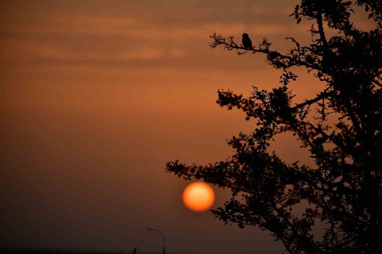 UNESCO DÜNYA MİRASI GEÇİCİ LİSTESİ'NDE YER ALAN, DOĞAL GÜZELLİKLERİYLE ÜNLÜ KIZILIRMAK DELTASI KUŞ...