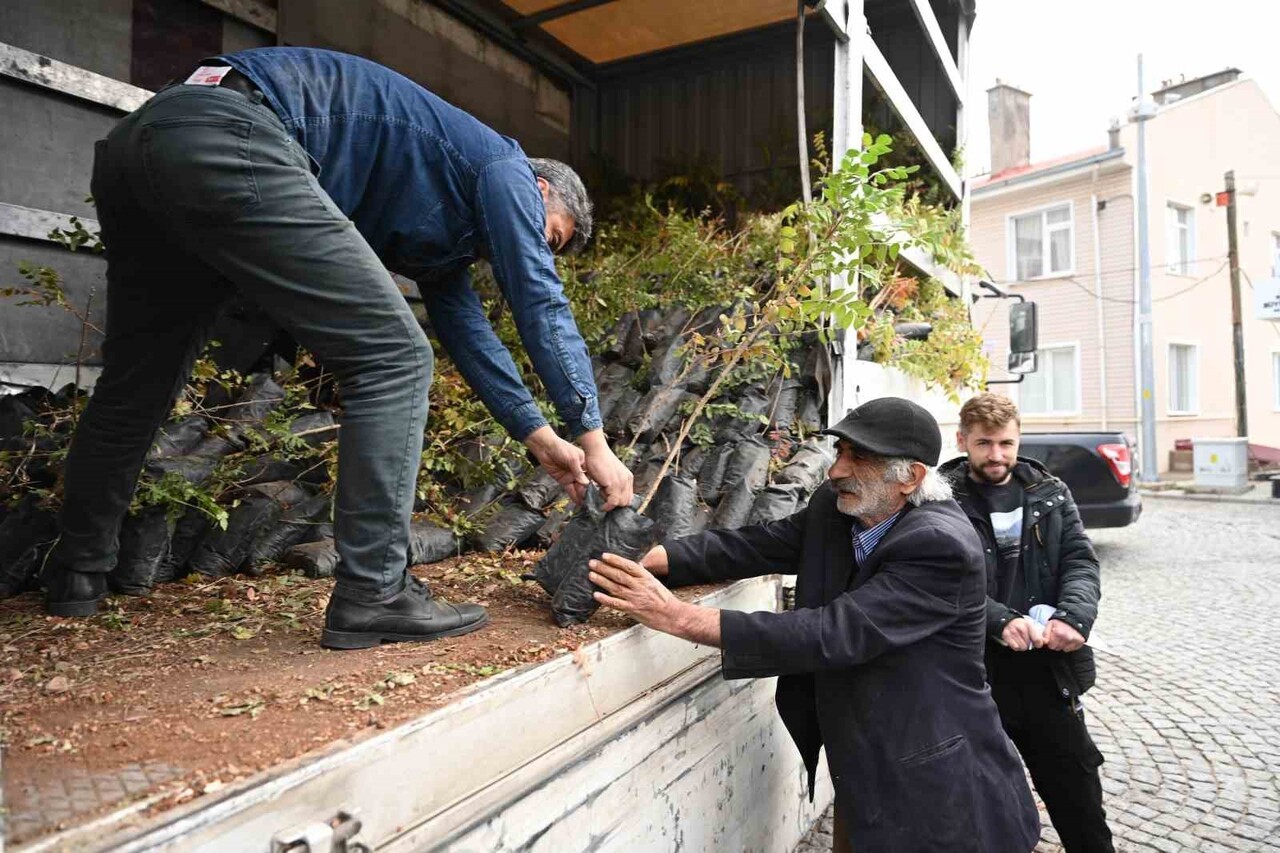 ÜRETİCİYE SUMAK FİDANI DESTEĞİ VERİLDİ