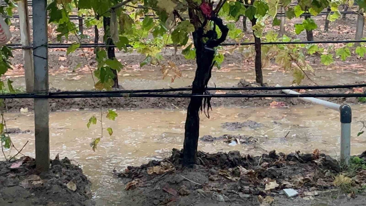 UZUN SÜREDİR YAĞMUR BEKLEYEN SARIGÖLLÜ ÜRETİCİLER, SAĞANAKLARIN ÜZÜM BAĞLARI VE EKİLİ ALANLARA CAN...