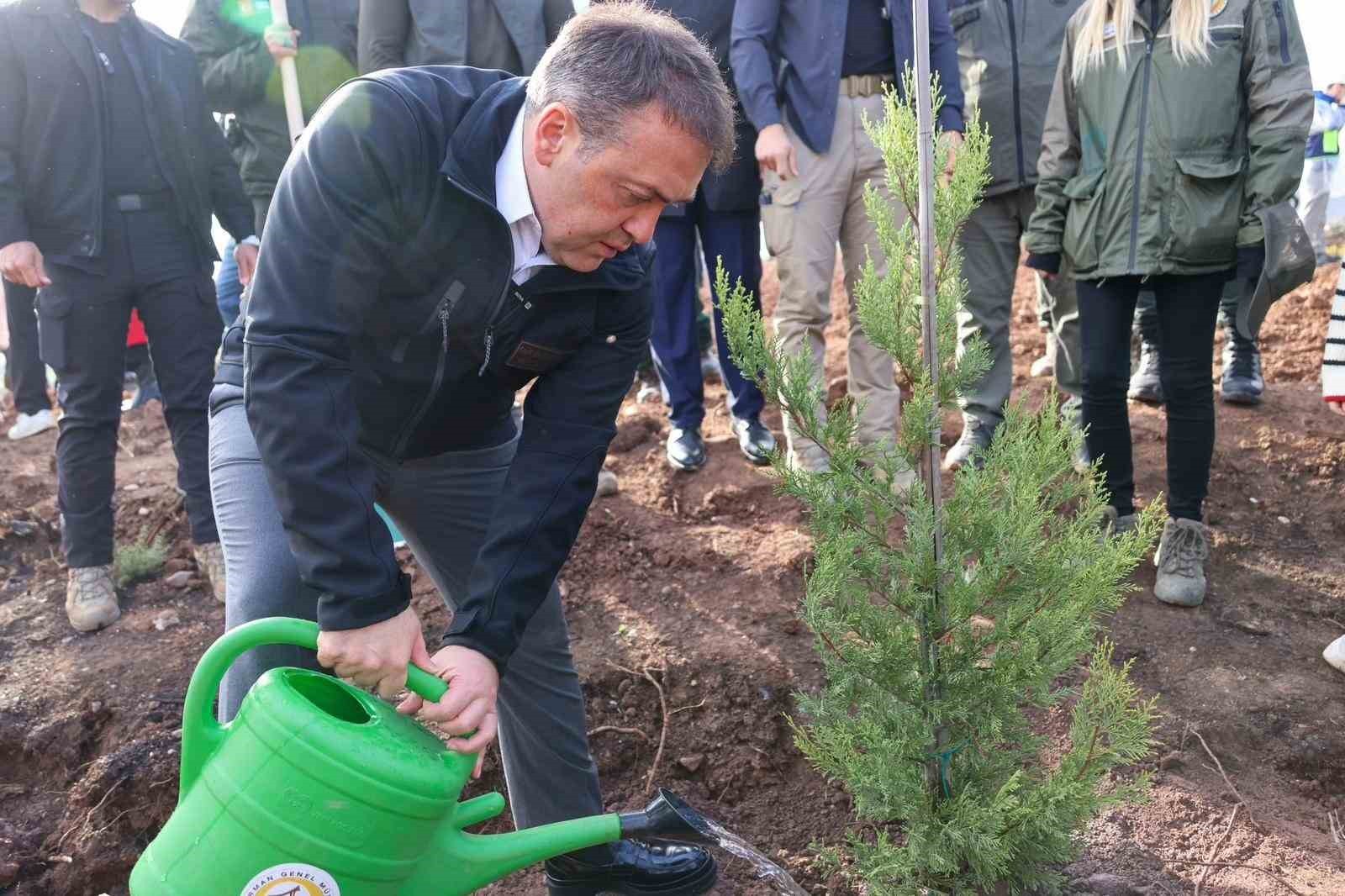 VALİ SÖZER, 5 BİN FİDANI TOPRAKLA BULUŞTURDU