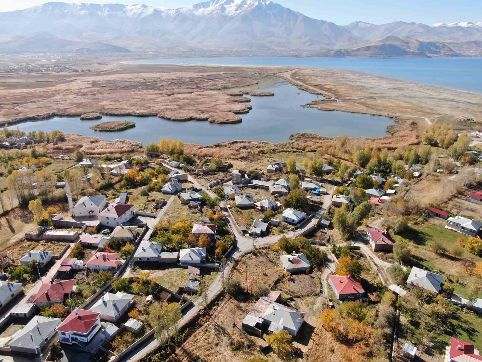 VAN GÖLÜ’NÜN İNCİSİ OLARAK BİLİNEN, YÜZLERCE KUŞ TÜRÜNE VE ZENGİN BİR BİYOÇEŞİTLİLİĞE EV SAHİPLİĞİ...