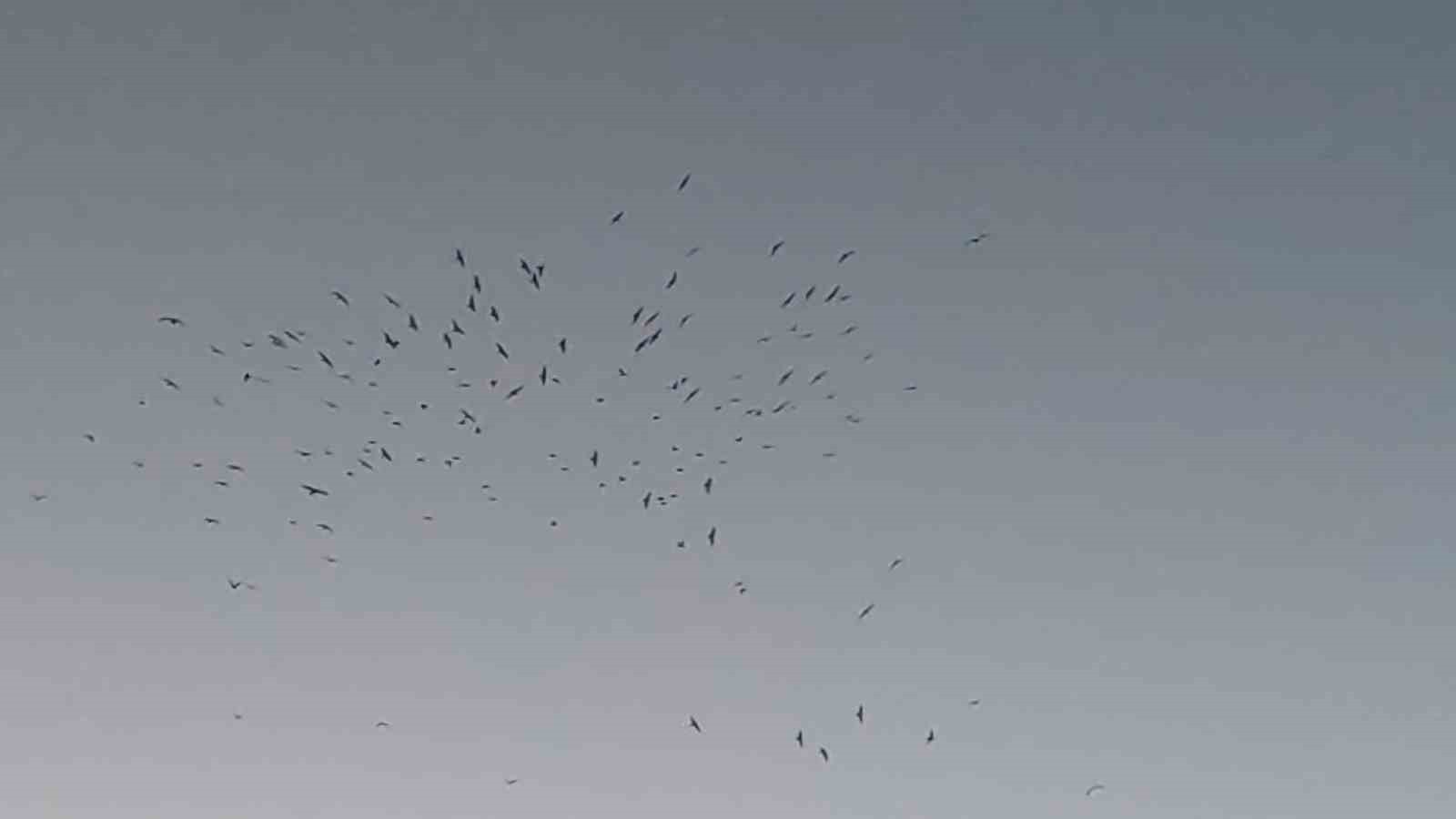 VAN GÖLÜ SEMALARINDA AKŞAM SAATLERİNDE ETKİLEYİCİ BİR DOĞA MANZARASI YAŞANDI. GÖL ÜZERİNDE...