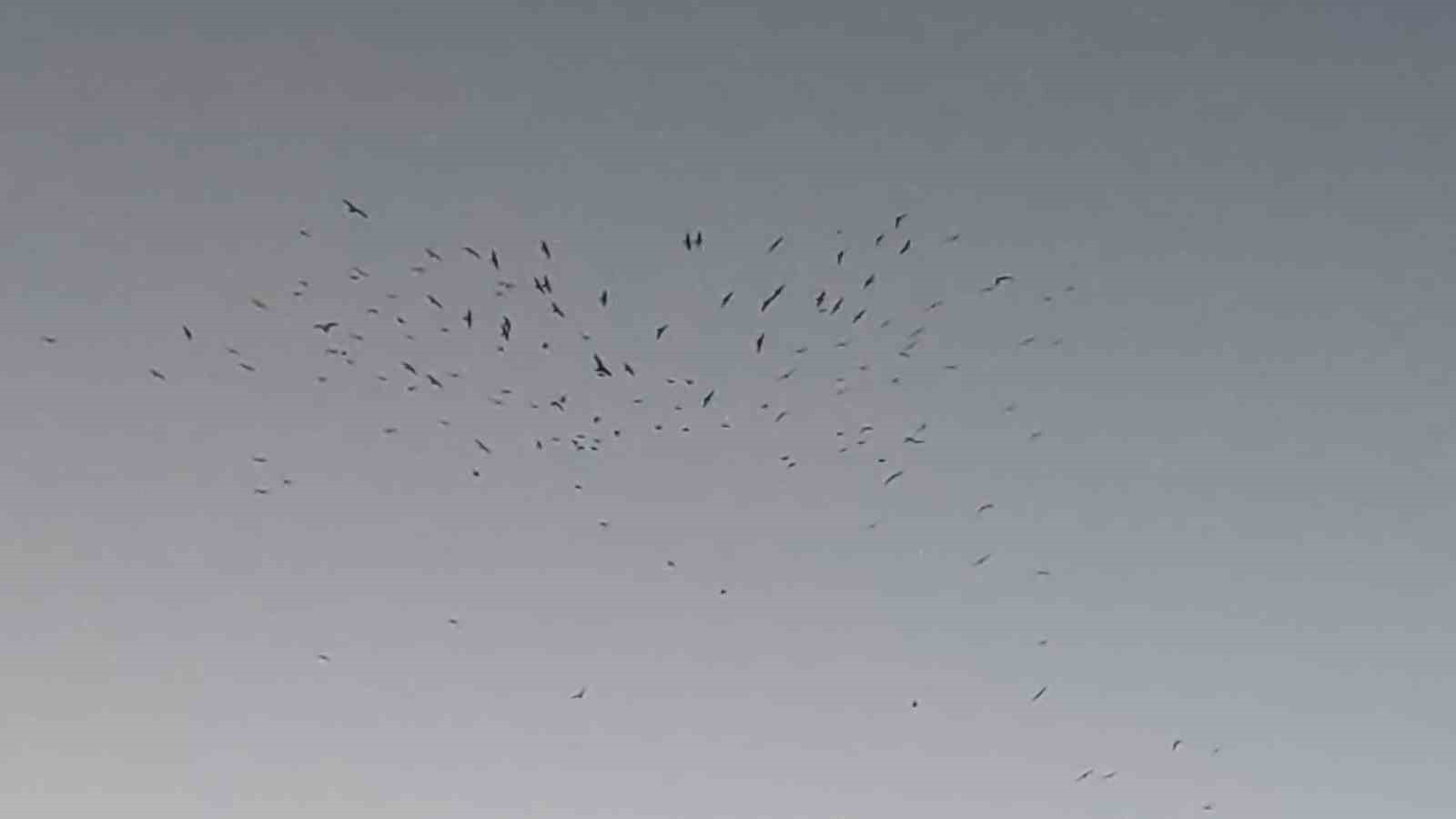 VAN GÖLÜ SEMALARINDA AKŞAM SAATLERİNDE ETKİLEYİCİ BİR DOĞA MANZARASI YAŞANDI. GÖL ÜZERİNDE...