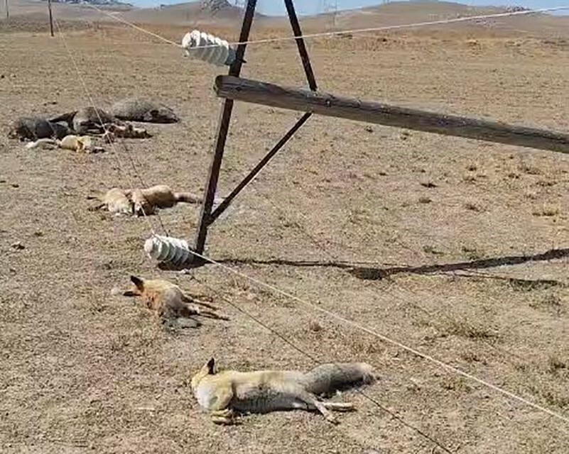 VAN’IN TUŞBA İLÇESİ KIRSALINDA VEDAŞ’A AİT ELEKTRİK DİREĞİNİN DEVRİLMESİ SONUCU YERE DÜŞEN ENERJİ...