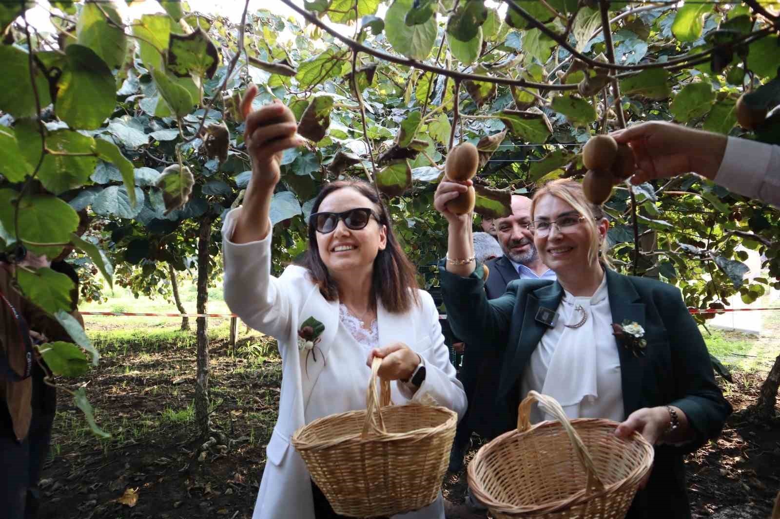 YALOVA'NIN COĞRAFİ İŞARETLİ MEYVESİ KİVİNİN HASADI DÜZENLENEN TÖRENLE BAŞLADI.