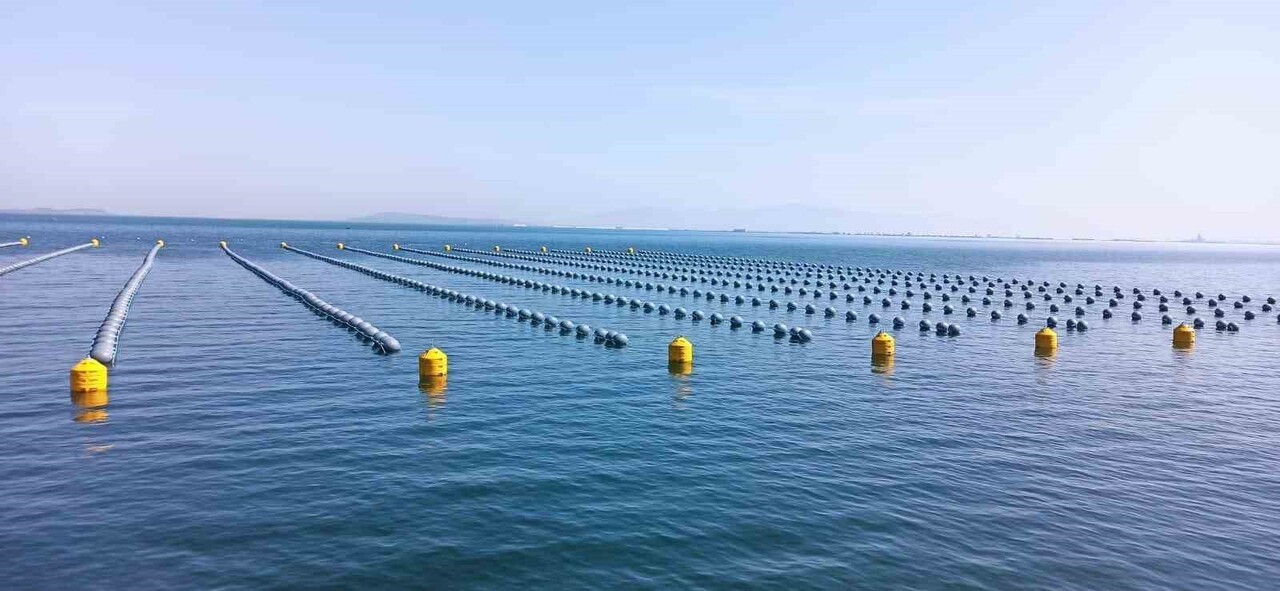 YALOVA, BALIKESİR VE ÇANAKKALE İLLERİ MİDYE YETİŞTİRİCİLERİ ÜRETİCİ BİRLİĞİ BAŞKANI ÖZERDEM...