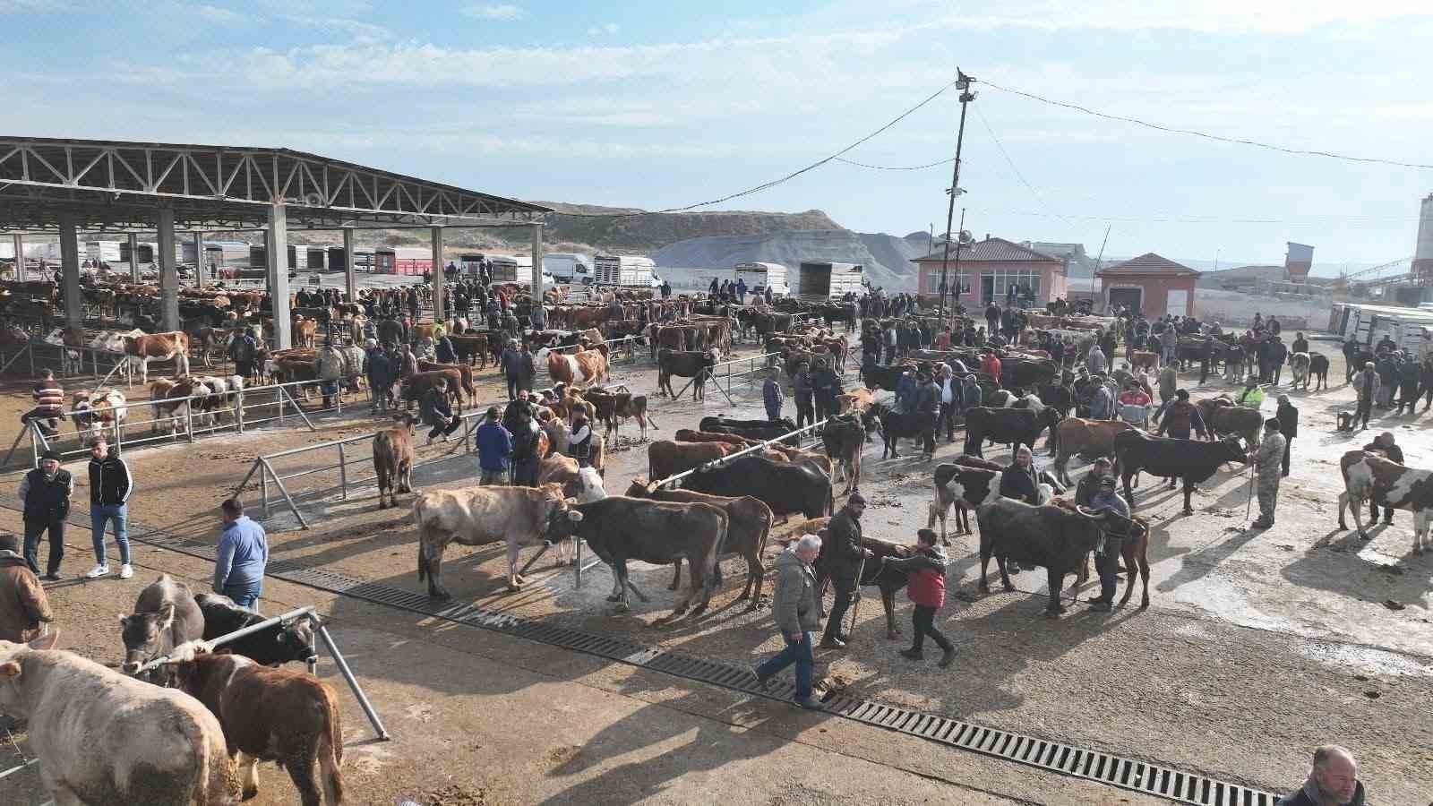 YOZGAT'IN SORGUN İLÇESİNDE, ŞAP HASTALIĞINA KARŞI ALINAN TEDBİRLER KAPSAMINDA YAKLAŞIK BEŞ AYDIR...
