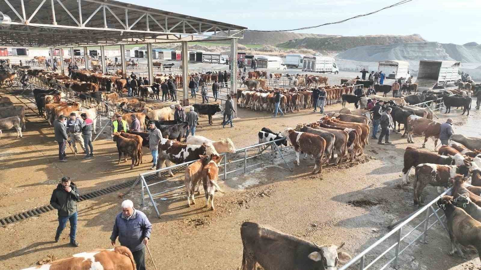 YOZGAT'IN SORGUN İLÇESİNDE, ŞAP HASTALIĞINA KARŞI ALINAN TEDBİRLER KAPSAMINDA YAKLAŞIK BEŞ AYDIR...