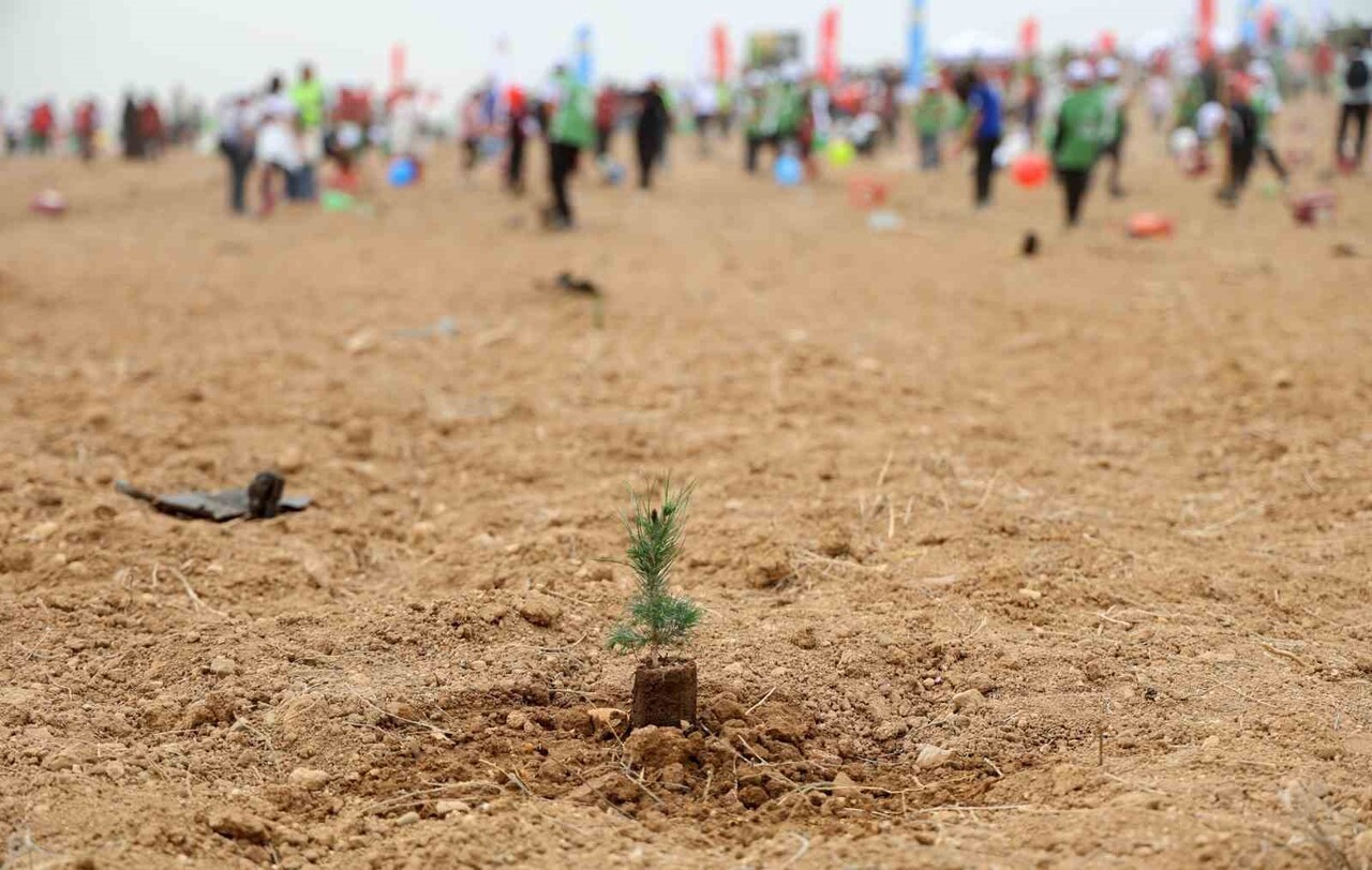 ADANA ALPARSLAN TÜRKEŞ BİLİM VE TEKNOLOJİ ÜNİVERSİTESİ'NDE (ATÜ) YEŞİL KAMPÜS HEDEFİYLE YILLAR...