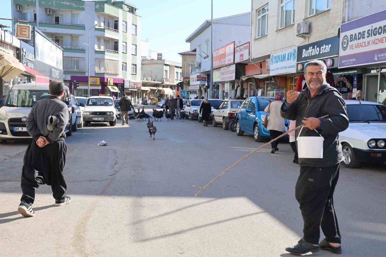 ADANA’NIN KOZAN İLÇESİNDE HİNDİLERİN ÇARŞIDA GEZDİRİLEREK SATILMASI İLGİNÇ GÖRÜNTÜLER...