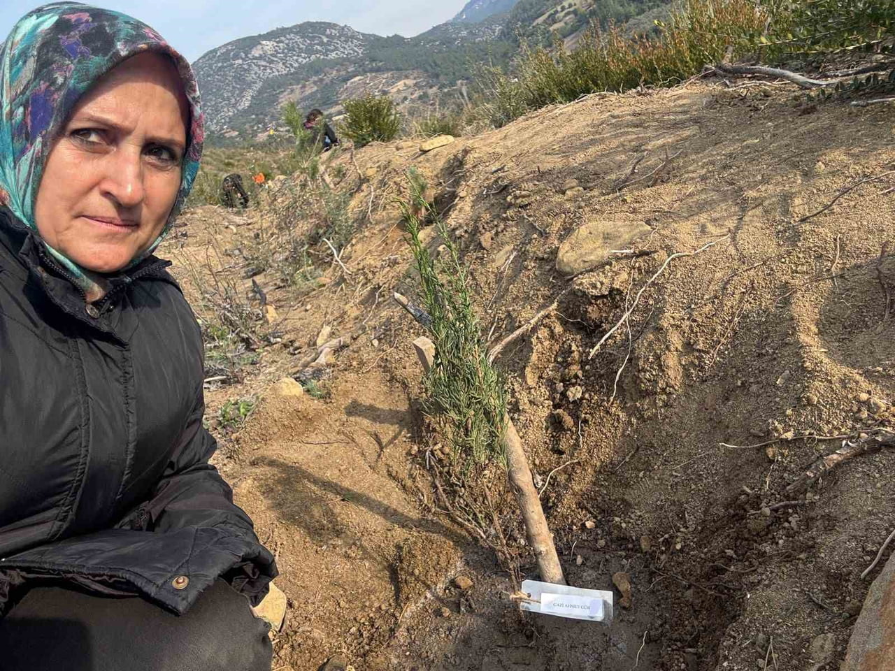 ADANA’NIN KOZAN İLÇESİNDE YANGIN SONRASI KÜLE DÖNEN ORMANLIK ALAN, ŞEHİT VE GAZİLERİN İSİMLERİNİ...