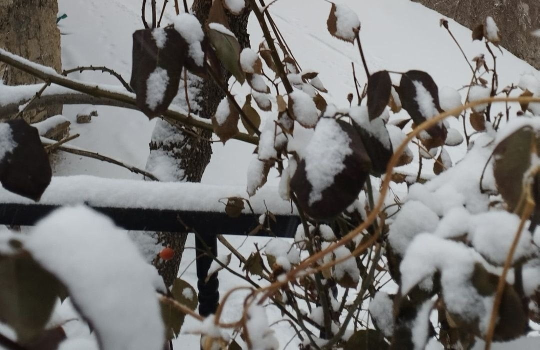 ADANA’NIN TUFANBEYLİ İLÇESİNDE DÜN GECE BAŞLAYAN KAR YAĞIŞI ETKİLİ OLUYOR. KAR NEDENİYLE İLÇE...