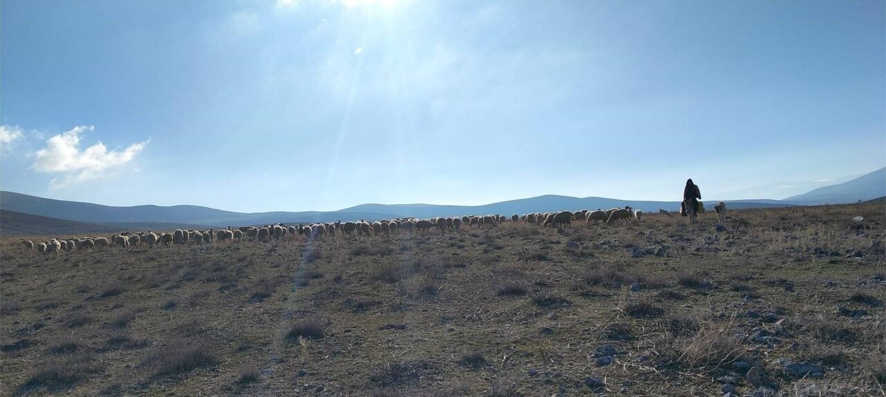 AFYONKARAHİSAR TARIM VE ORMAN MÜDÜRLÜĞÜNE BAĞLI EKİPLER TARAFINDAN GEÇİCİ MADEN ARAMA İZNİ VERİLEN...