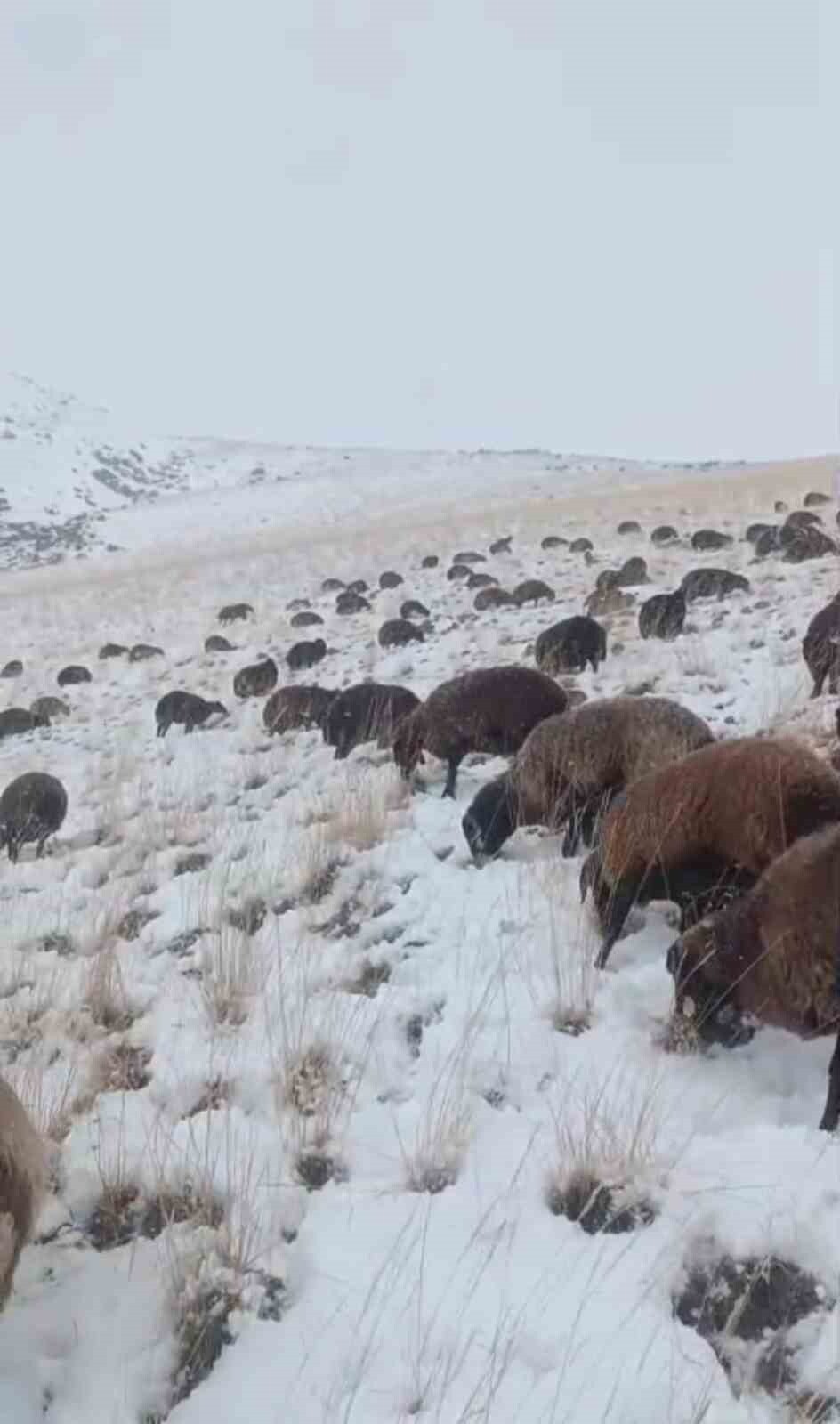 AĞRI’NIN ELEŞKİRT İLÇESİNDE ETKİLİ OLAN KAR YAĞIŞI VE TİPİ NEDENİYLE ULAŞIMA KAPANAN 3 KÖY YOLU...