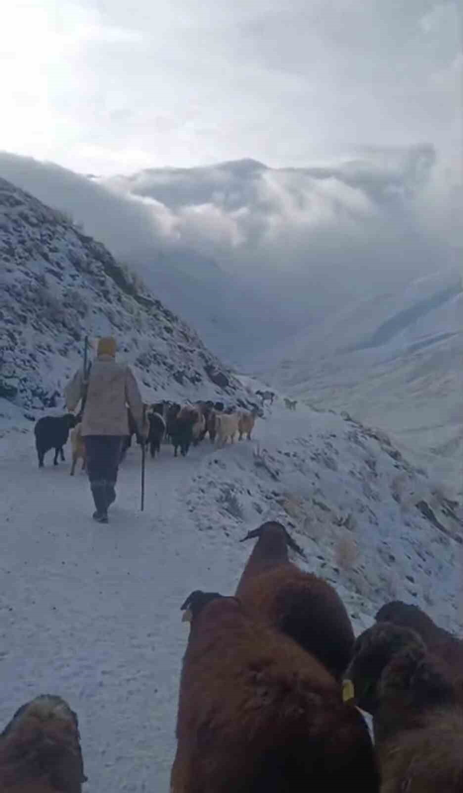 AĞRI’NIN ELEŞKİRT İLÇESİNDE ETKİLİ OLAN KAR YAĞIŞI VE TİPİ NEDENİYLE ULAŞIMA KAPANAN 3 KÖY YOLU...